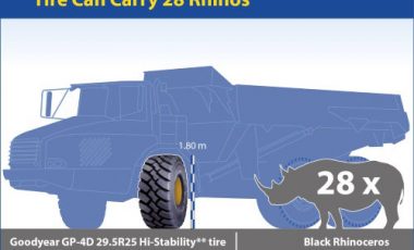 Kaj imata skupnega pnevmatika Goodyear GP-4D in nosorog?